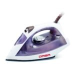 Qasa Steam and Spray Iron