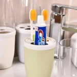 Toothbrush and Paste Storage