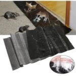 Sticky Rat Glue - Long