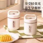 500ml Food Flask